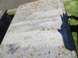 image of grave number 890849